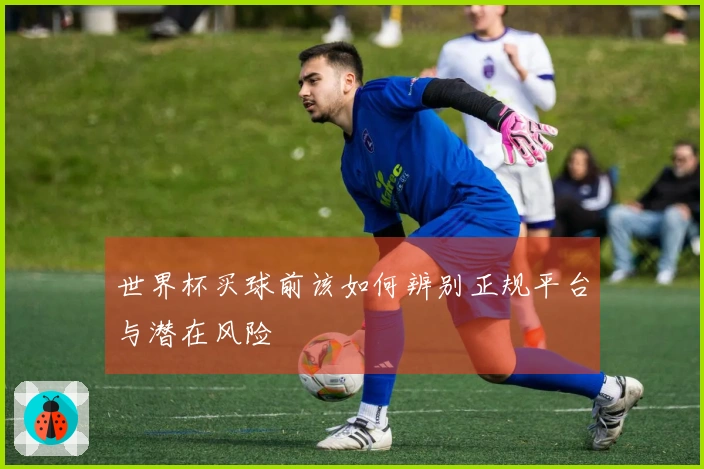 世界杯买球前该如何辨别正规平台与潜在风险