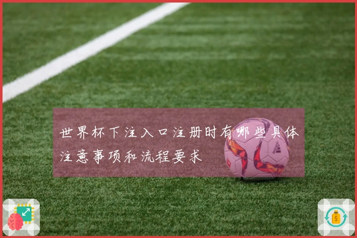 世界杯下注入口注册时有哪些具体注意事项和流程要求