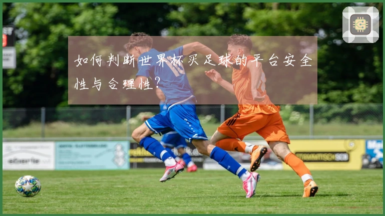 如何判断世界杯买足球的平台安全性与合理性？