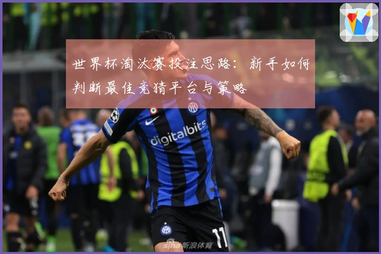 世界杯淘汰赛投注思路：新手如何判断最佳竞猜平台与策略