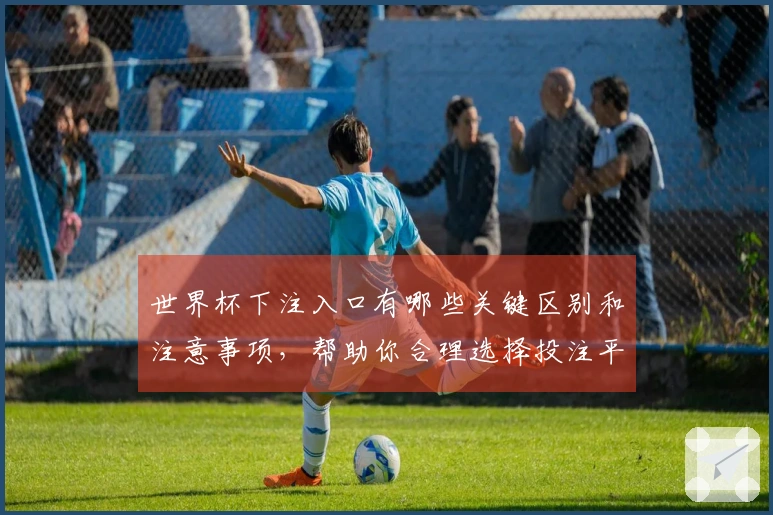 世界杯下注入口有哪些关键区别和注意事项，帮助你合理选择投注平台