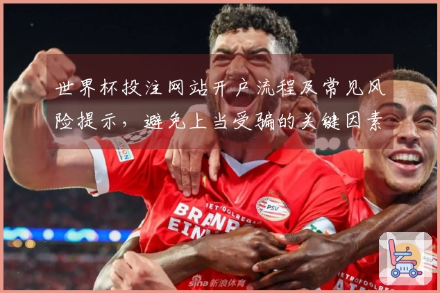 世界杯投注网站开户流程及常见风险提示，避免上当受骗的关键因素有哪些