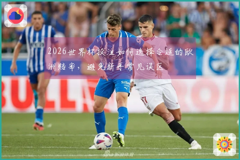 2026世界杯投注如何选择合适的欧洲赔率，避免新手常见误区