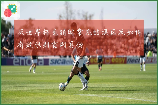 买世界杯竞猜时常见的误区及如何有效识别官网真伪
