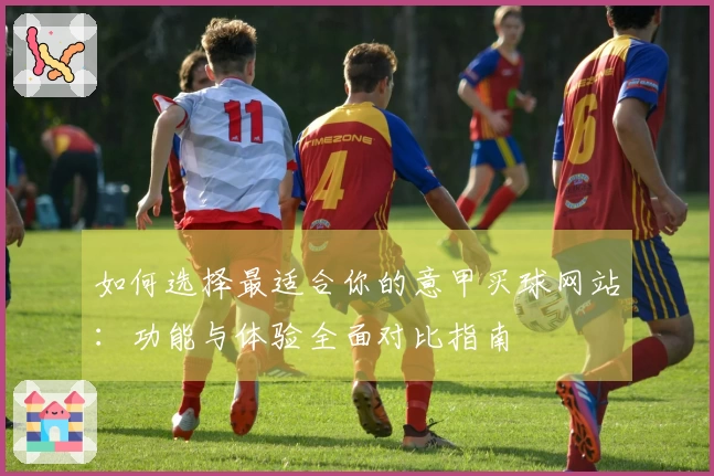 如何选择最适合你的意甲买球网站：功能与体验全面对比指南