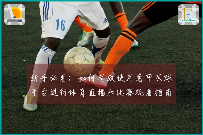 新手必看：如何有效使用意甲买球平台进行体育直播和比赛观看指南