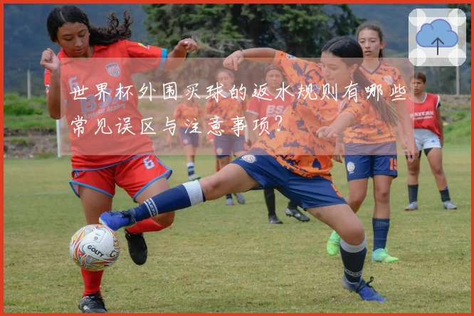 世界杯外围买球的返水规则有哪些常见误区与注意事项？