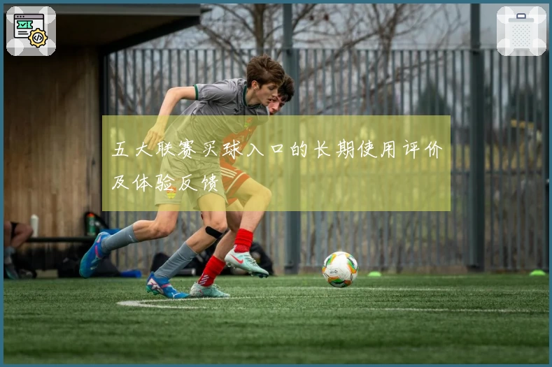 五大联赛买球入口的长期使用评价及体验反馈