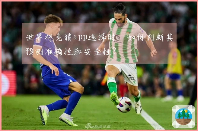 世界杯竞猜app选择时，如何判断其预测准确性和安全性？