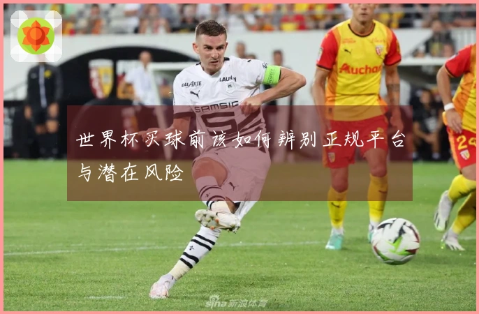 世界杯买球前该如何辨别正规平台与潜在风险