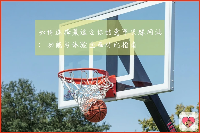 如何选择最适合你的意甲买球网站：功能与体验全面对比指南