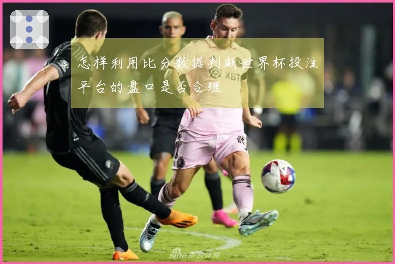 怎样利用比分数据判断世界杯投注平台的盘口是否合理