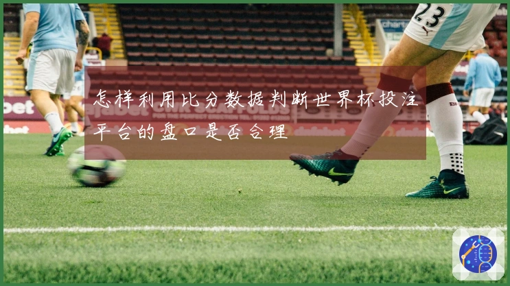 怎样利用比分数据判断世界杯投注平台的盘口是否合理