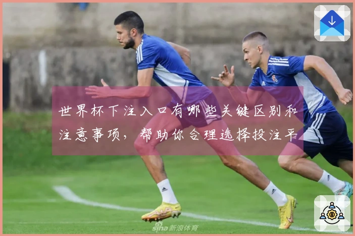 世界杯下注入口有哪些关键区别和注意事项，帮助你合理选择投注平台